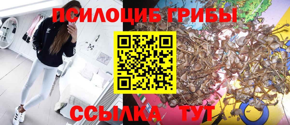 Галлюциногенные грибы Cubensis  Вход с VPN  Конаково 